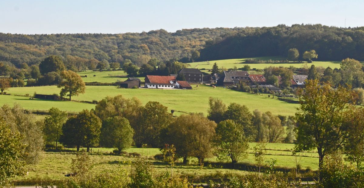 Vijlener bos, Limburg, The Netherlands