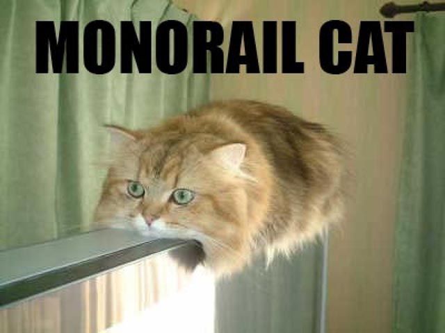 monorail-cat._1.jpeg