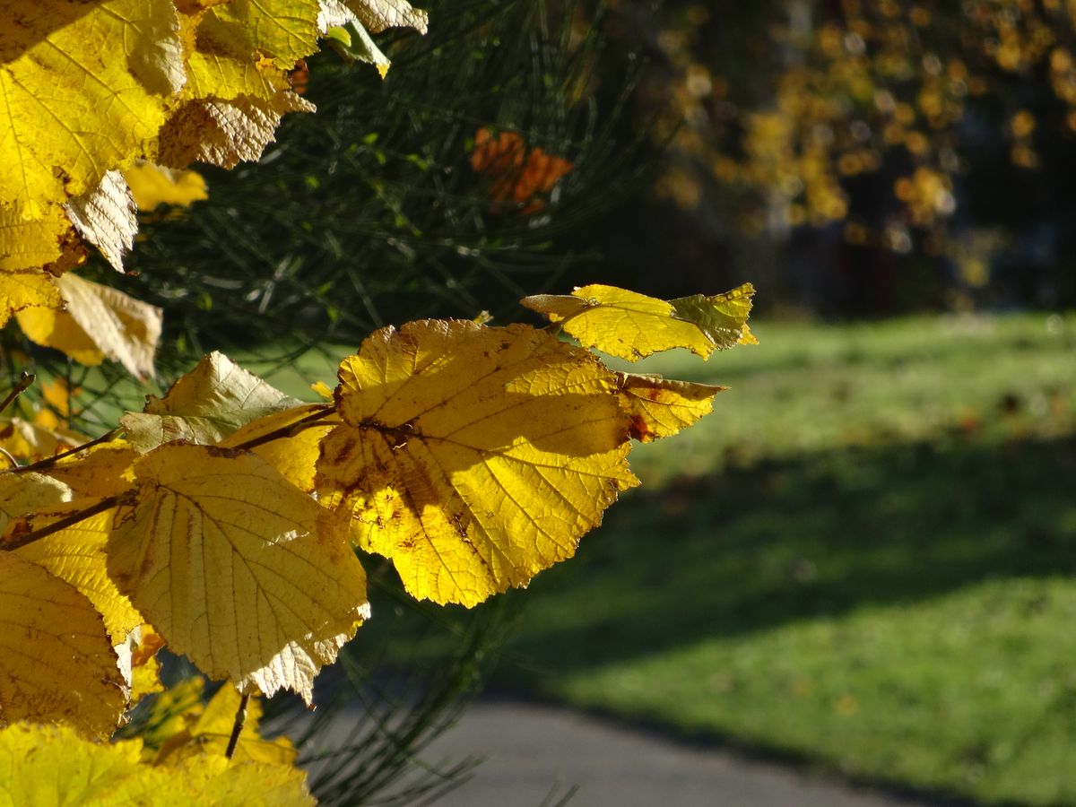 A Lille, France par sony WX300