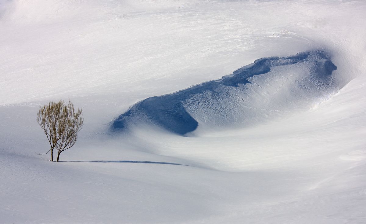 Imagen captada en la montaña de León, durante el frío invierno. Con esta fotografía trato de representar el concepto de la soledad.