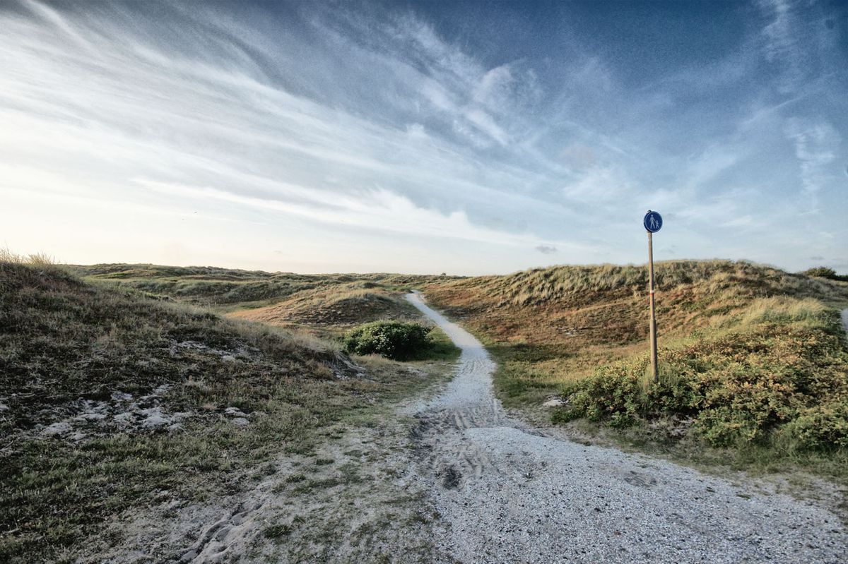 duinen Den Helder