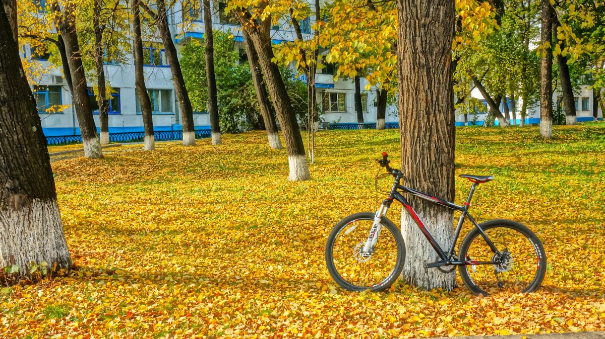 bicycle fall