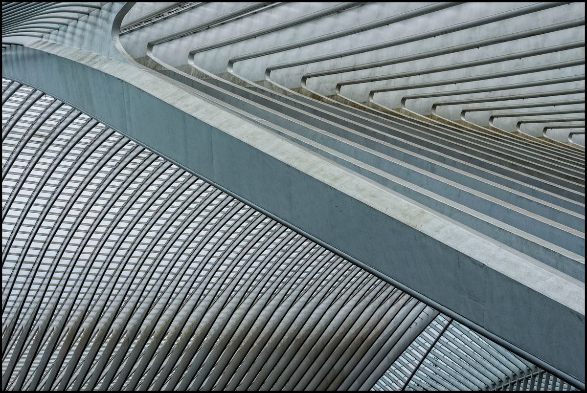 Guillemins