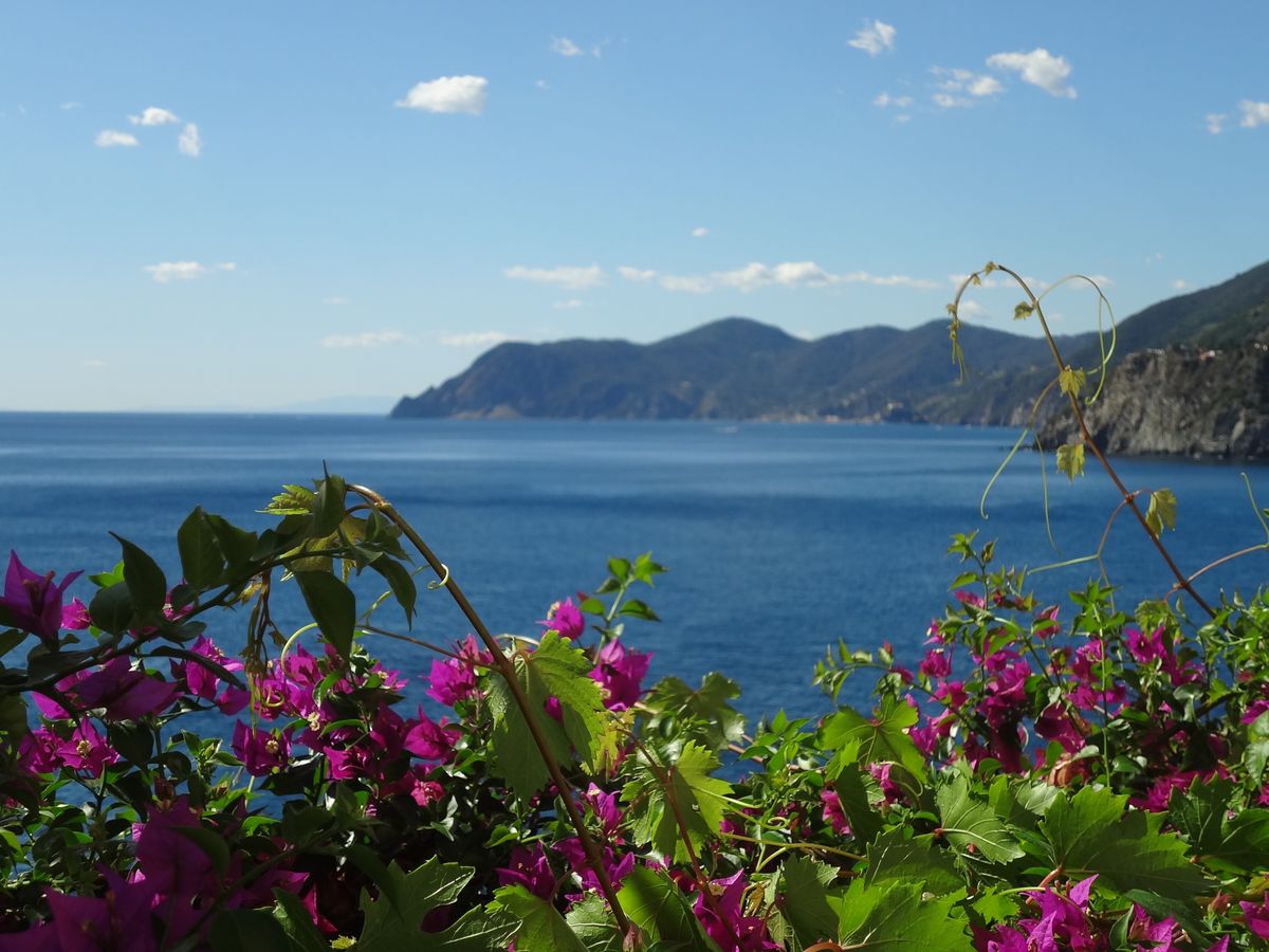 cinque terre, manarola