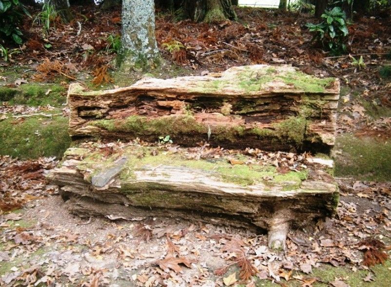 A rough wooden bench - Azores islands / Portugal