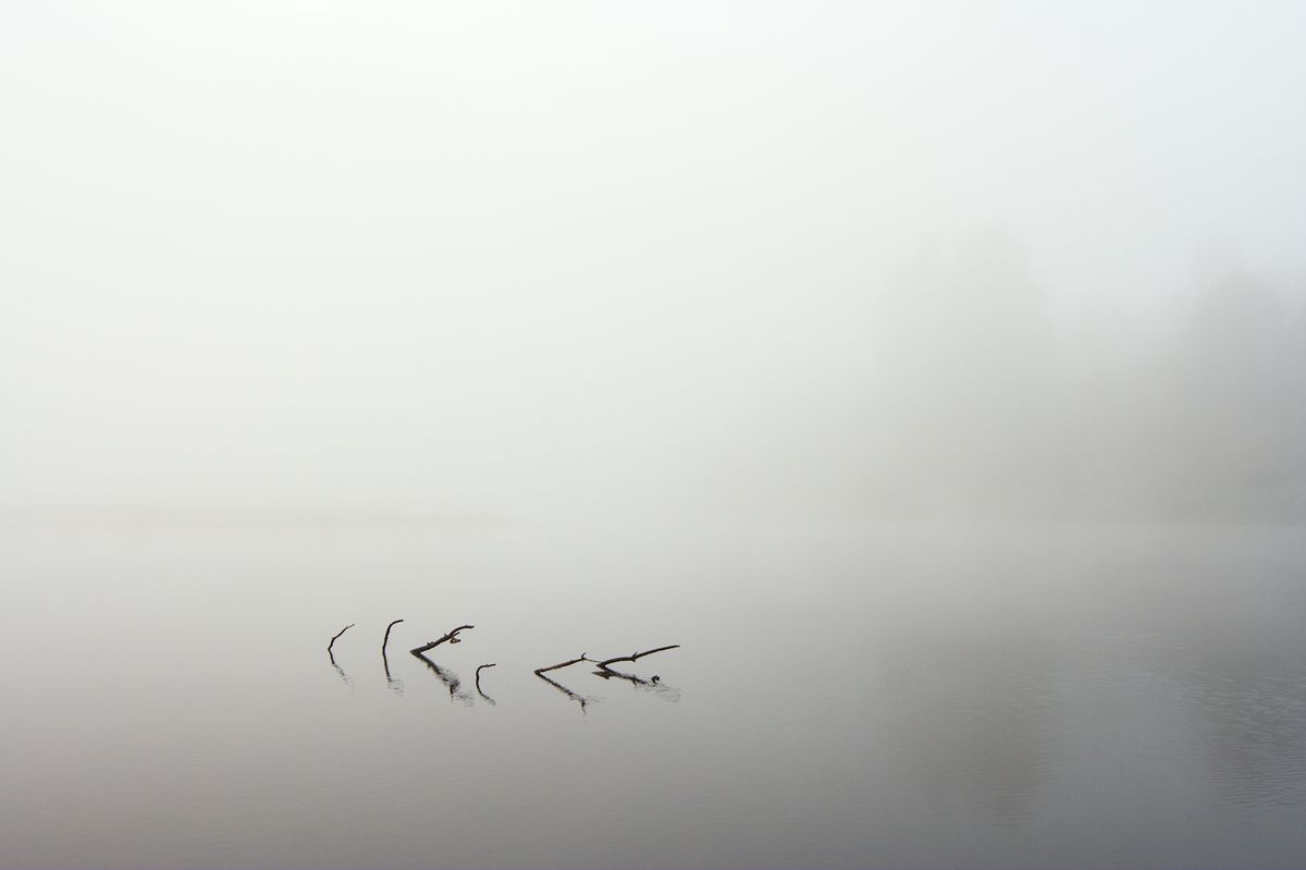 Earlier summer morning on the river. Very dense fog - high humidity - one water around. Dense forests on the river Mologa in the Tver region, Russia.