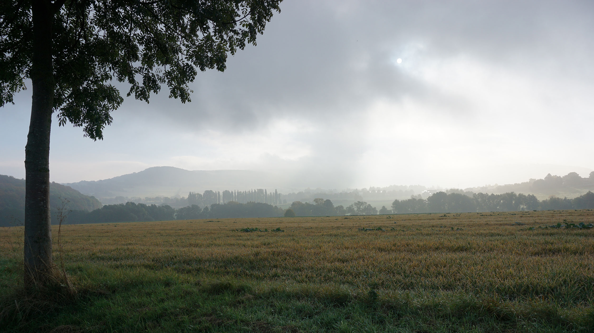 tegenlicht-bewolking.jpg