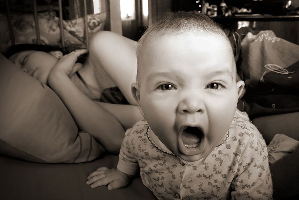 pol01+++.jpg pol01+++.jpg