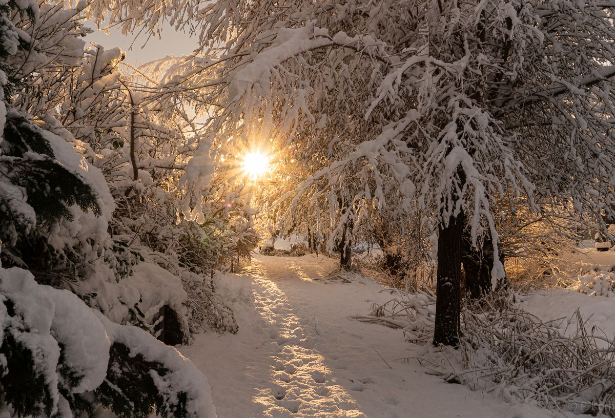 Sonnenstern echt, Schnee echt, nichts manipulieret..