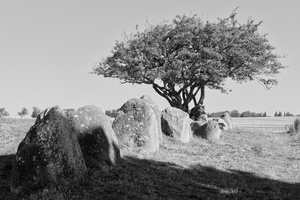 Andere Perspektive am Hünengrab