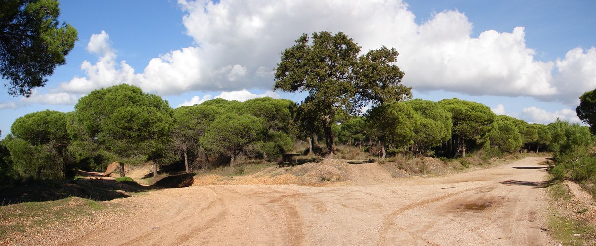 Algarve Landscape